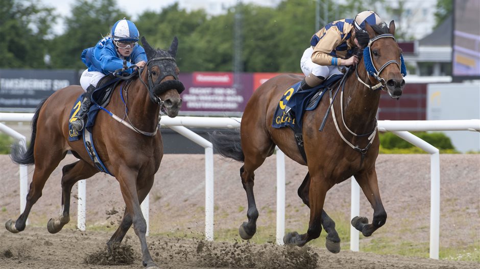 Inför V4®/V5® Jägersro Galopp: ”Hoppas återigen på en bra prestation”